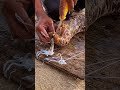 big sea snake | See creatures