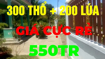 (Ms 240❤Đã Bán) Bán Lô Đất Cực Rẻ 550Tr, 300 Thổ + 200 Lúa Tại Cần Đước, Long An | Bđs Long An