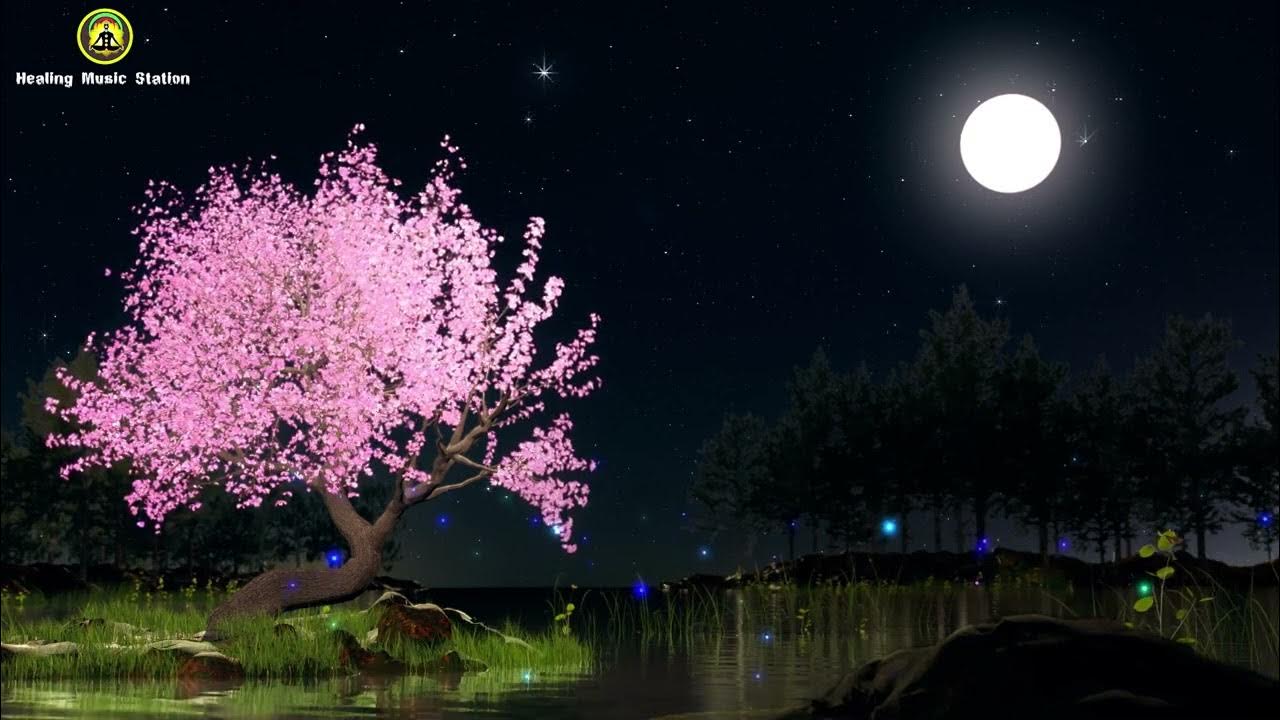 Relieve Stress and Anxiety for a Peaceful Sleep Music to Calm Down