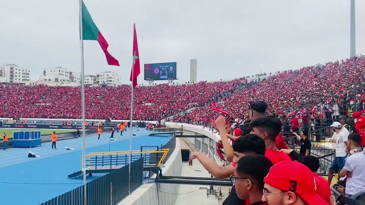 Winners 2005 - Amigo Storia Bella (live) | Vs Porto