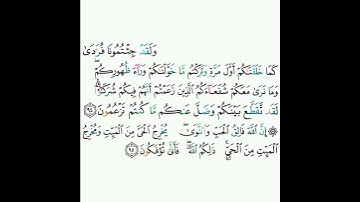 6 - سورة الأنعام ٩٤-٩٥ - محمود خليل الحصري