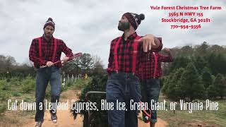 Come cut your Tree down at Yule Forest!!