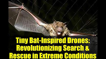 Tiny Bat-Inspired Drones: Revolutionizing Search & Rescue in Extreme Conditions