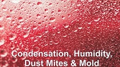 Condensation, Humidity, Dust Mites & Mold
