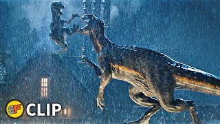 Blue vs Indoraptor - Final Battle Scene | Jurassic World Fallen Kingdom (2018) Movie Clip HD 4K
