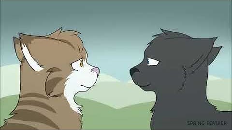 Wolf Leafpool Crowfeather Complete Warrior Cats MAP