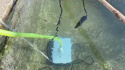 Improve Oxygen Output for your fish farms