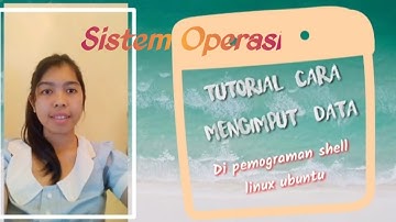 Cara Menginput Data menggunakan Pemograman Shell Linux Ubuntu dengan Virtual Box | Sistem Operasi