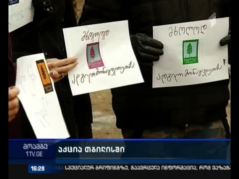 აქცია ვაკის პარკში