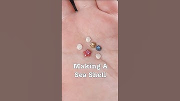 Making a Sea Shell (Mini Tutorial)