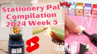 Stationery Pal Compilation | Stationery Pal