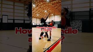 How To Handle A Trap