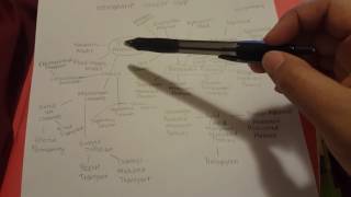 Membrane Concept Map