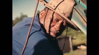 Information Mr. Jambo (feat. Barry Bergen) [Official Music Video] - Kyle Gordon Update