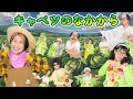キャベツのなかから【うたのママパパ】手遊び おかあさんといっしょ 童謡