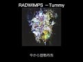 Tummy  日本語訳 RADWIMPS