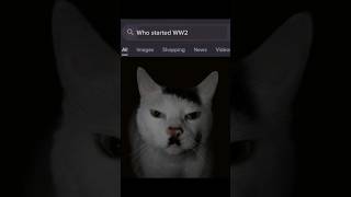 Adolf kitler started ww2 | #history #memes