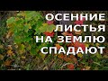 Осенние листья на землю спадают. Лучшие христианские песни.