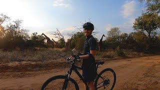 Bushveld MTB   Hoedspruit
