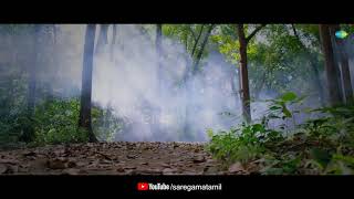 Aranmanai 3 - Official Trailer | Arya | Raashi Khanna | Sundar C ll Tamil_status_video TN29