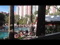 Flamingos at Flamingo Casino and Hotel - Las Vegas - YouTube