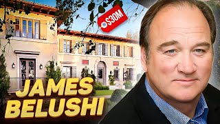 James Belushi | What Happened to the Star of K9 and Where He Spends His Millions