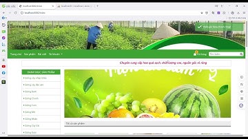 Giới thiệu website bán cây bằng java, spring boot