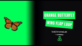 Download lagu Orange Butterfly Wing Flap Loop | Green Screen (4K)