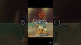Battle Of Brothers, Link Vs Daruk