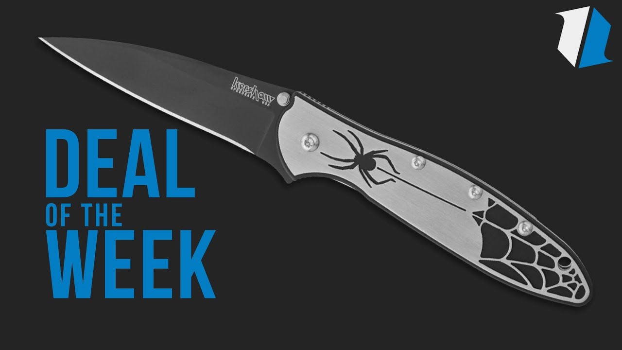 Kershaw Leek 1660 Folding Knife