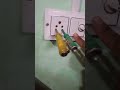 2 tester test joints  neutral or face  #experiment electronic video #yogeshelectrician24