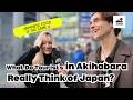 "Japanese Food is All the Same!"‐Japan Street Interviews in Akihabara (Japan Travel 2026)