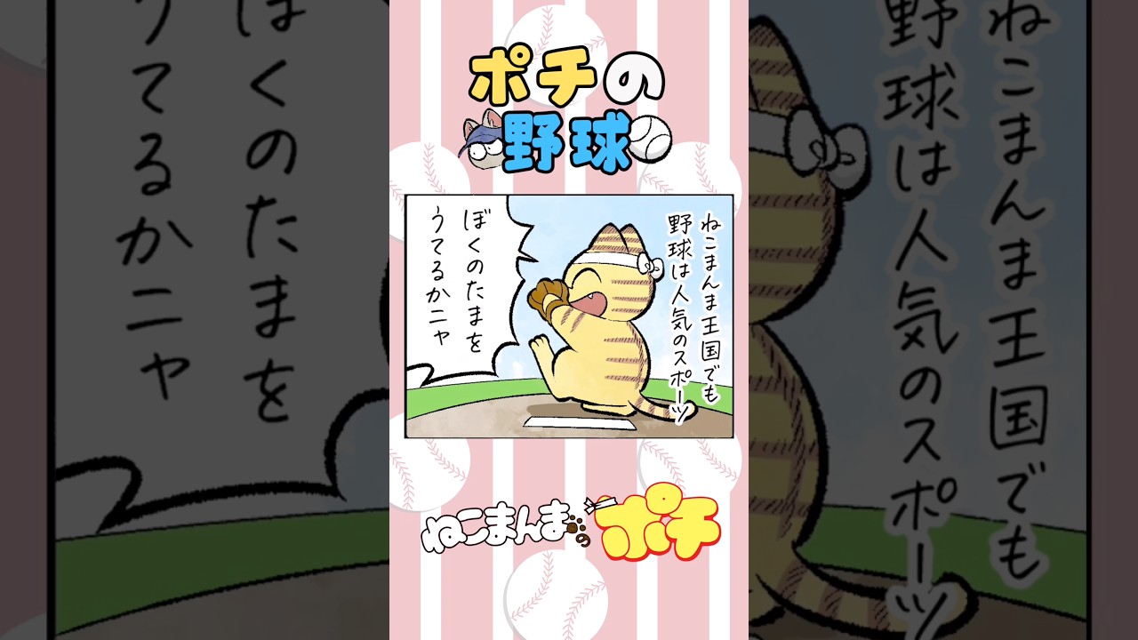 ポチの野球【ねこまんまのポチ】　#ねこまんまのポチ #猫 #漫画 #アニマンガ