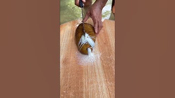 Waarom stoten zeekomkommers hun organen uit? #shorts #zeekomkommer