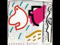 Lloyd Feat. Lil Wayne - You remix (Sampled from Spandau Ballet's "true" )