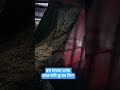 অনুপ্রেরণার আরেক নাম। #shorts #shortvideo