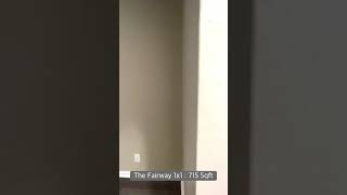 The Fairway 1x1: 715 Sqft