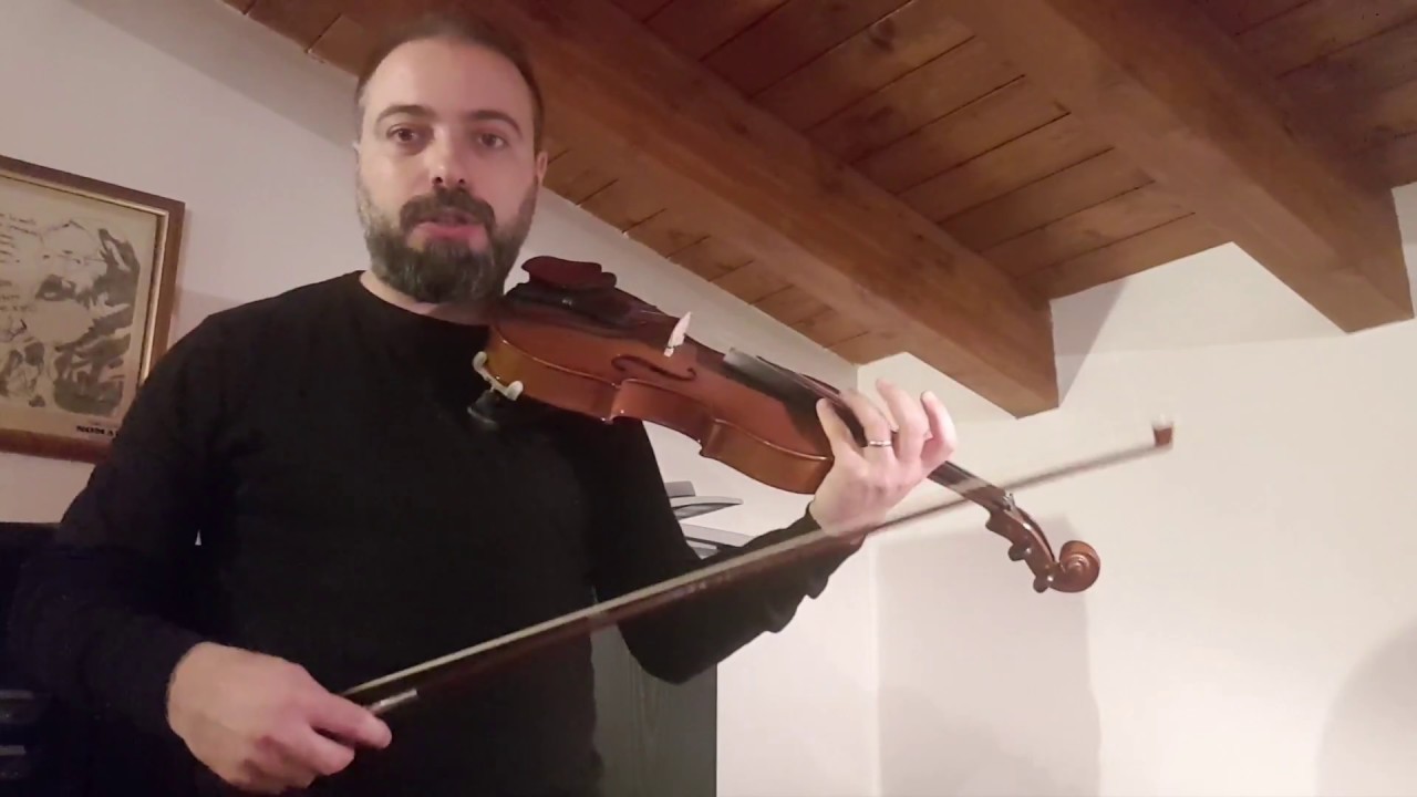 la strofinano i violinisti sui crini dellarchetto