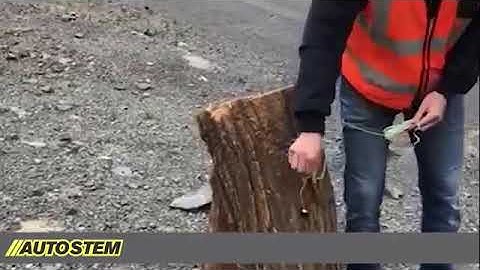 Tree Blasting - AutoStem