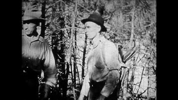 WFSTAR:  Common Errors In Fighting Forest Fires (Full Program)