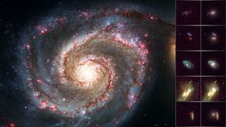 The Power of Cosmic Forces | EP5 | Hubble’s Canvas S1