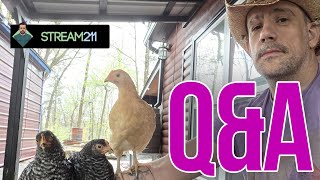 Q&A and Internet Fun @alphabasic