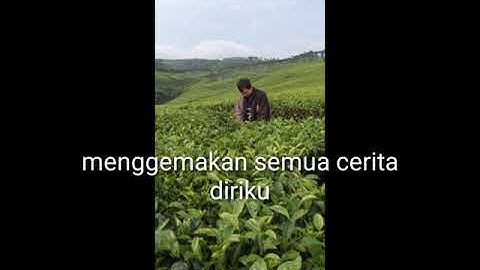 Yofan t3rhan0 - halusinasi