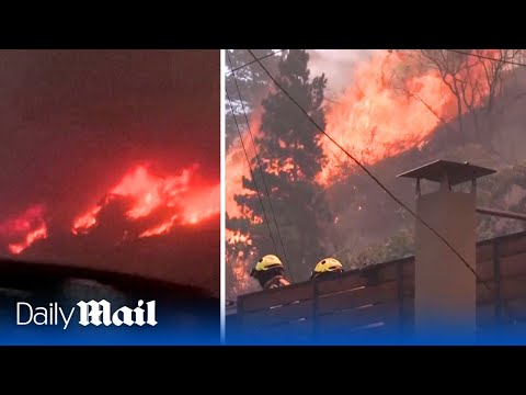 Devastating fire kills 50 people in Chile