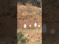 Guess the distance @VortexOpticsUSA @VortexNation @RugerFirearms #hunting #outdoor #outdoors