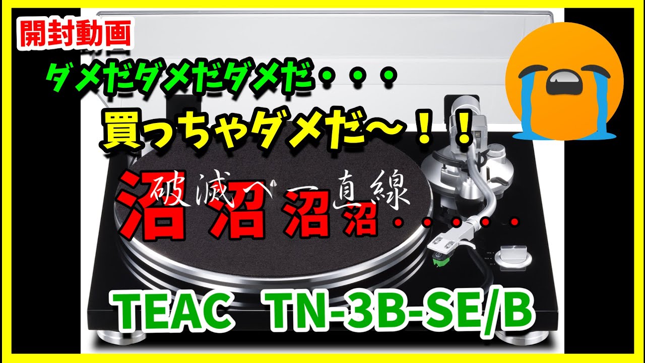 開封動画】レコードプレーヤー（TN-3B-SE）購入しました！⇒最高でした 