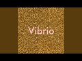 Vibrio