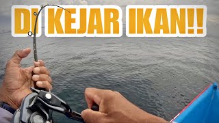 SEPERTI DI KEJAR IKAN PERAHU JALAN AJA MASIH BISA STRIKE!