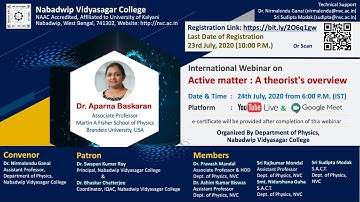 "Active matter: A theorist