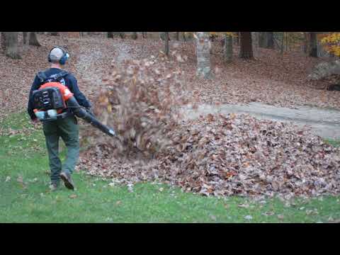 Video dad gets scary surprise from kids while blowing leaves